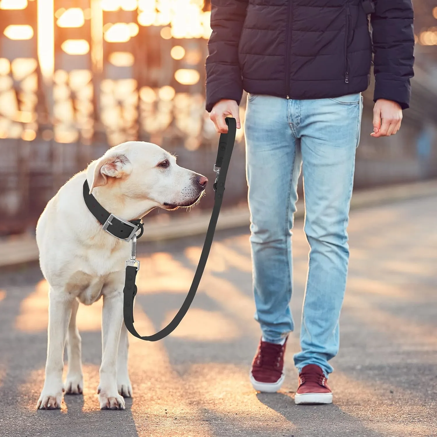 Wisedog Waterproof Standard Dog Leashes with 2 Hooks, 5 ft/ 6 ft Lengths, Adjustable for Traffic Control Safety, for Small, Medium & Large Dogs Walking (Black L)