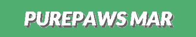 Premium Pet Nutrition, Toys, Wellness, Gear & Comfort – All-in-One Pet Essentials